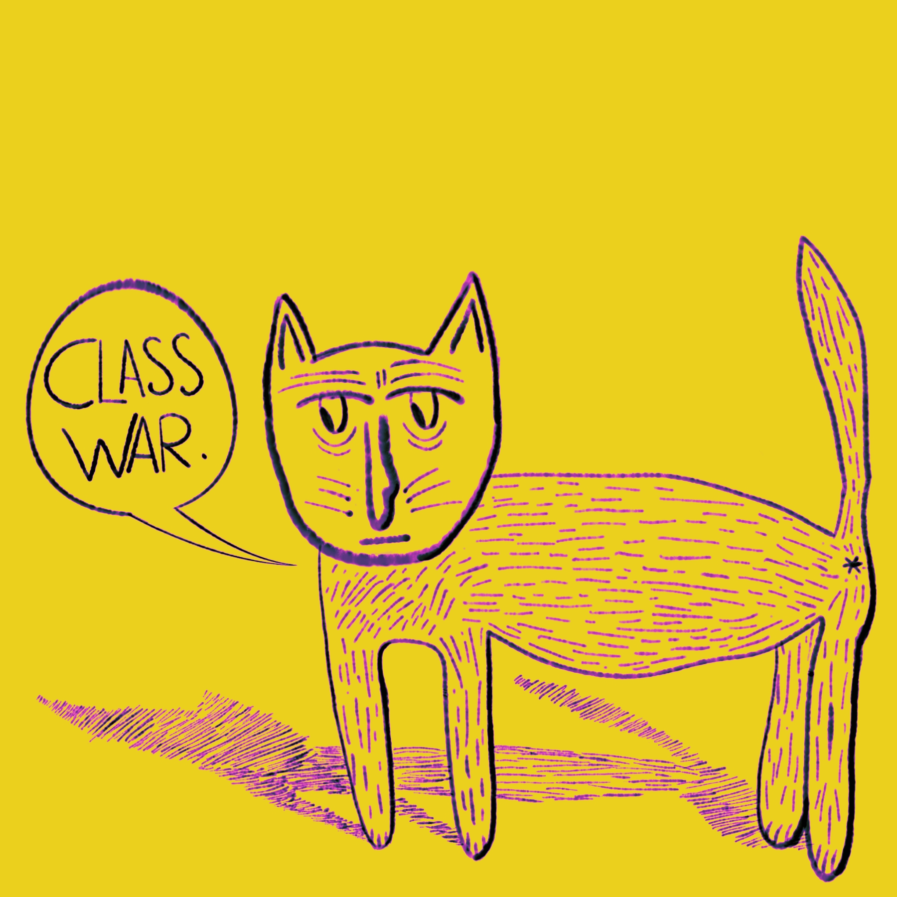 Cat 1