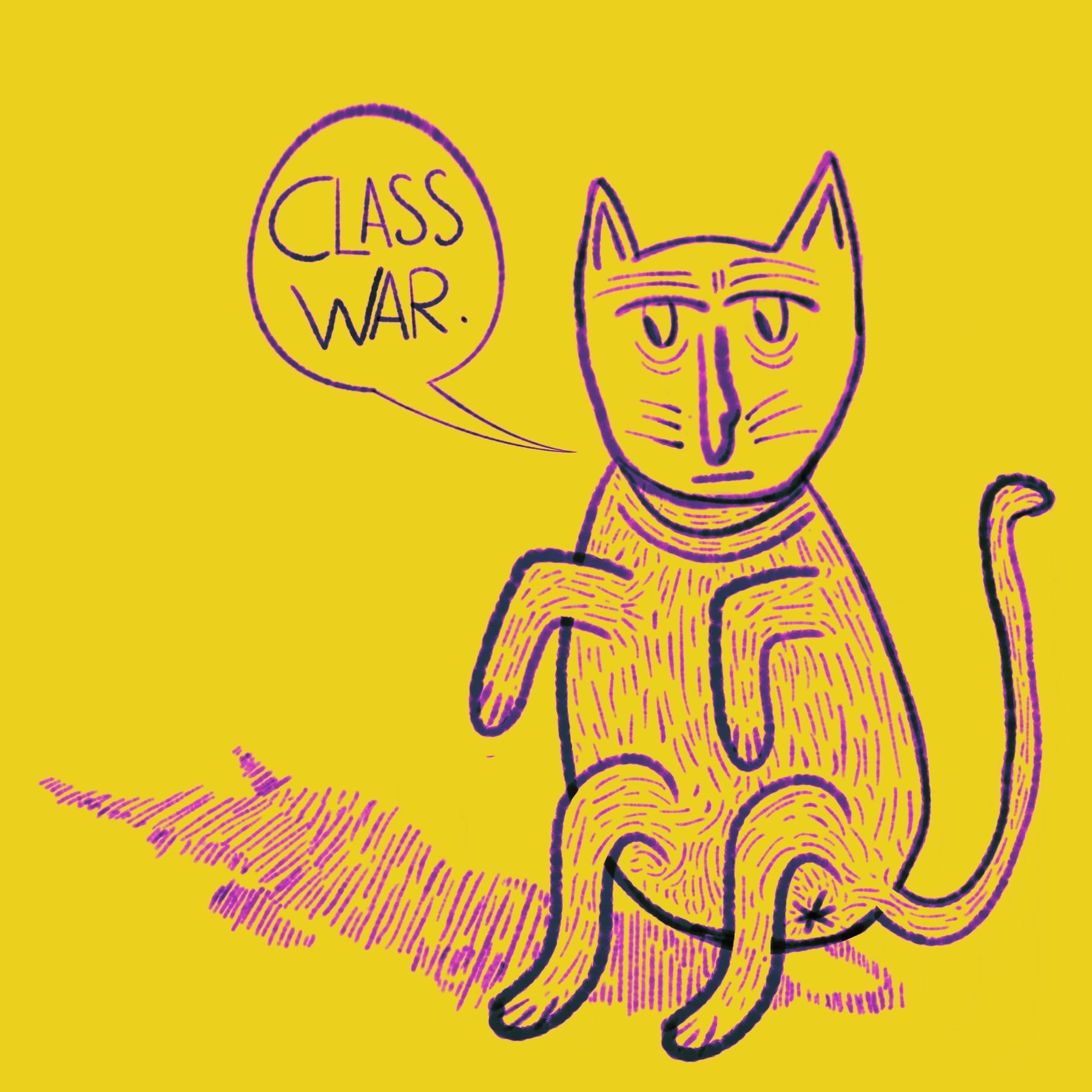 Cat 2