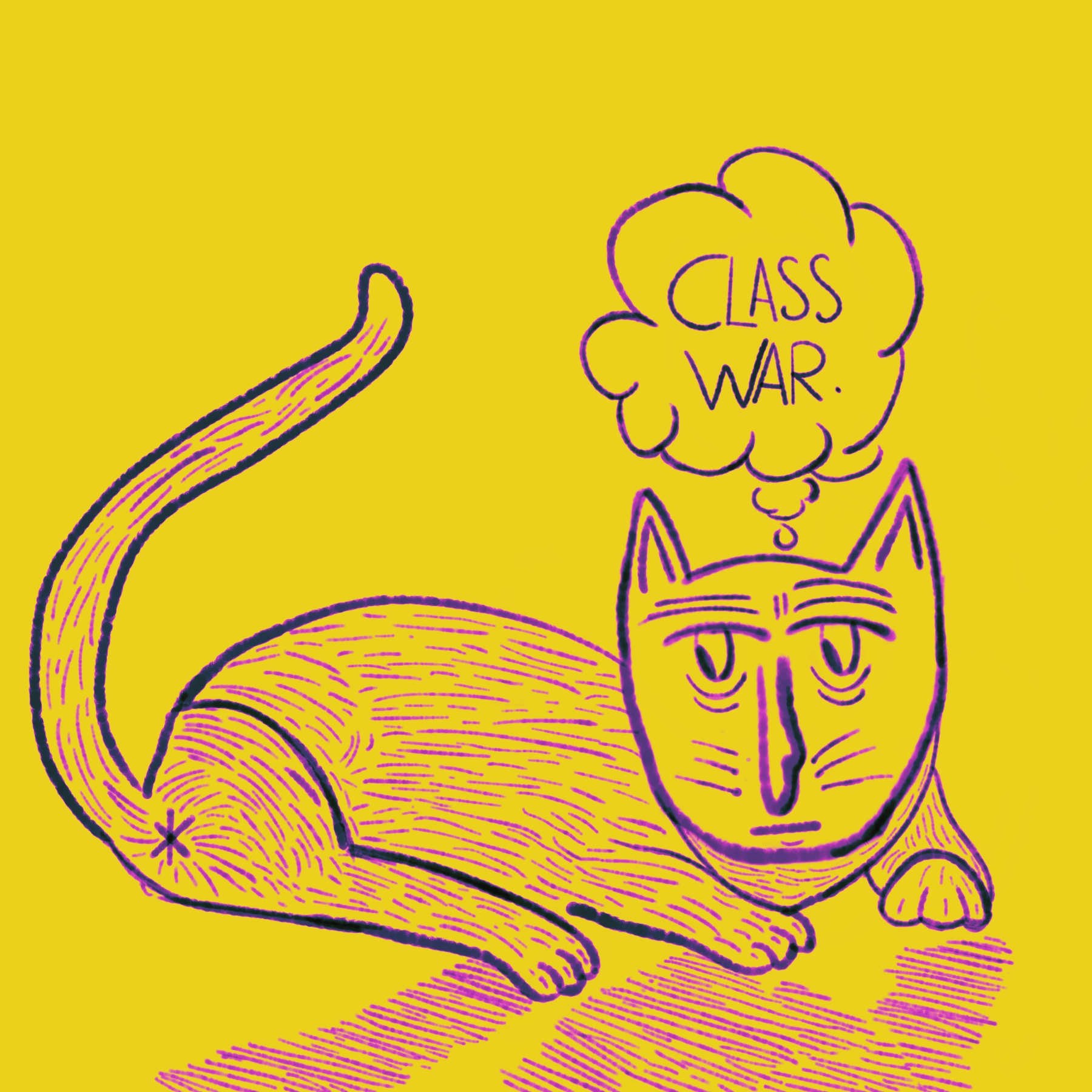 Cat 3