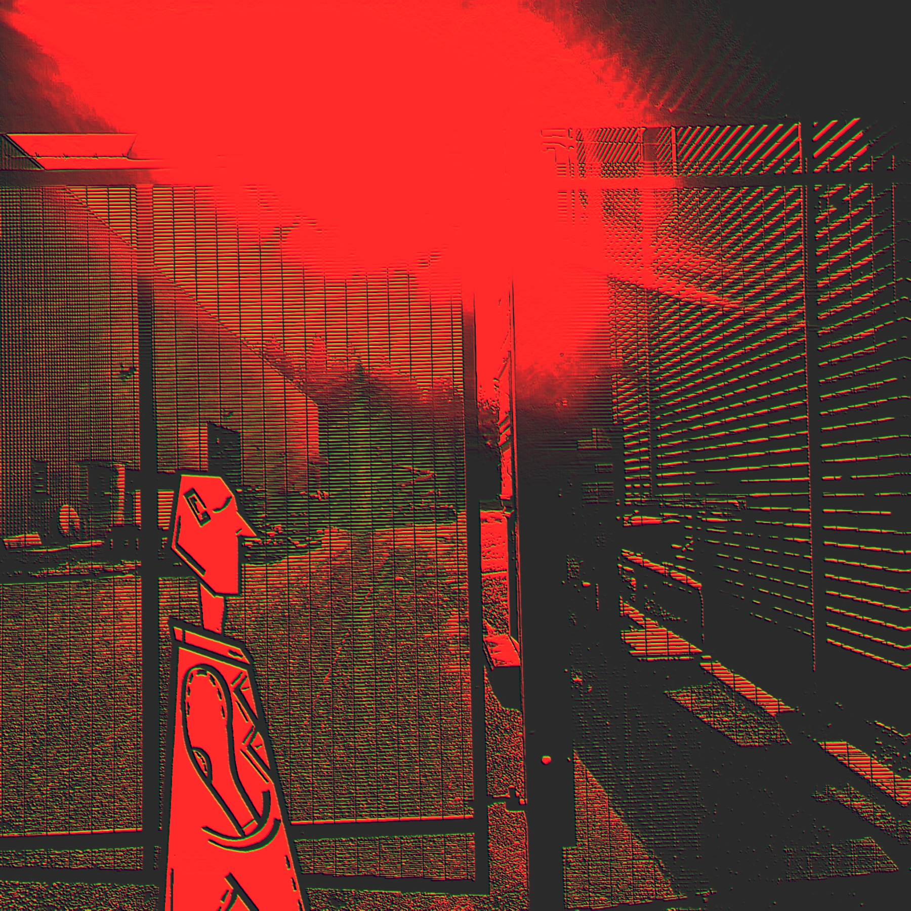 Fellow